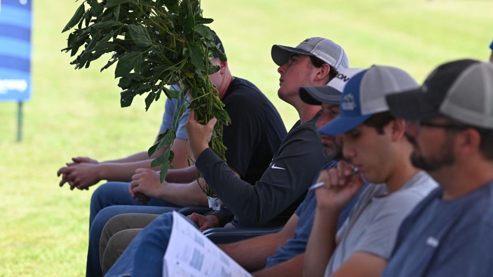 Beau Romsey field day